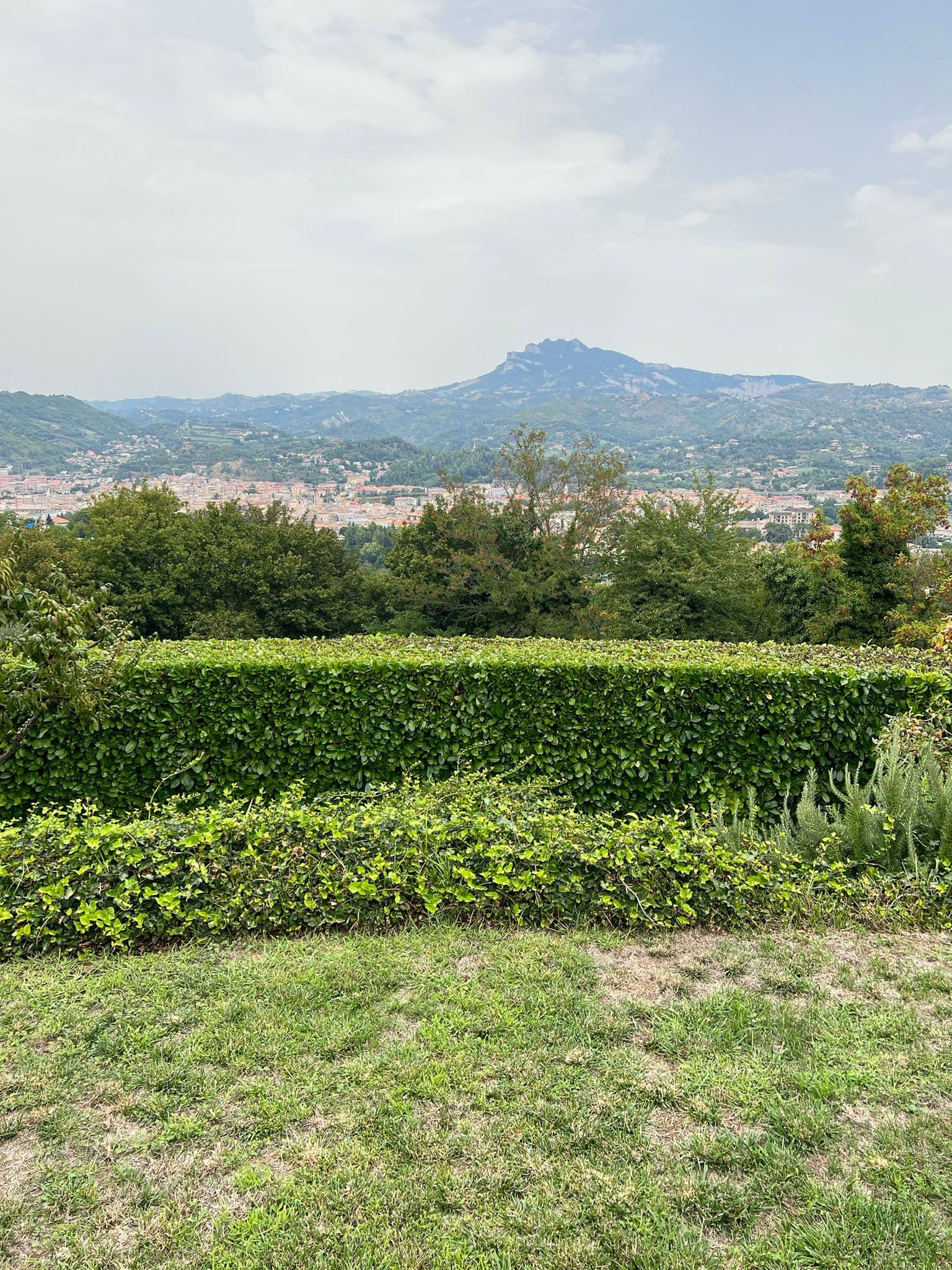 Lavoro professionale di giardinaggio 1