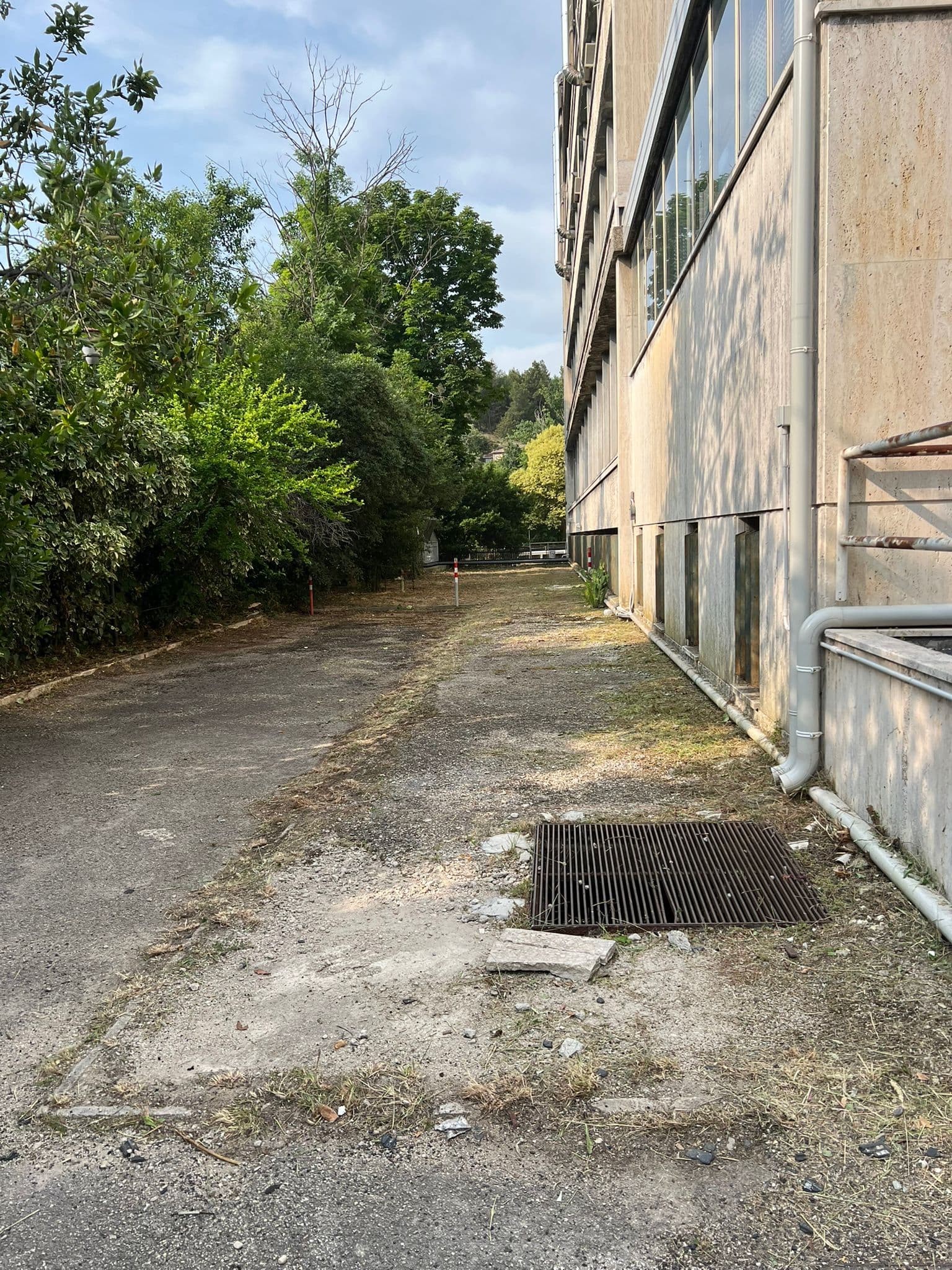 Lavoro professionale di giardinaggio 3