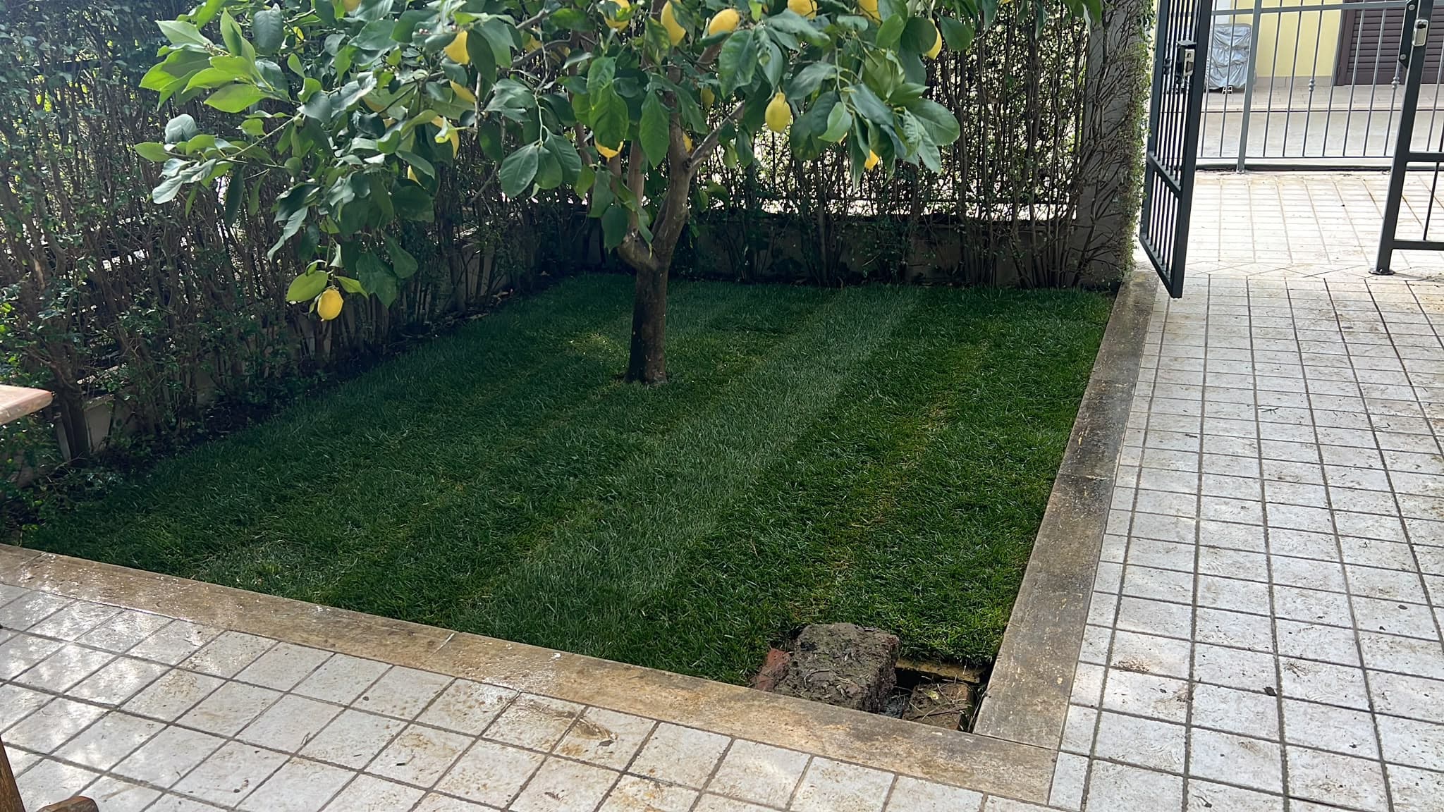 Lavoro professionale di giardinaggio 4