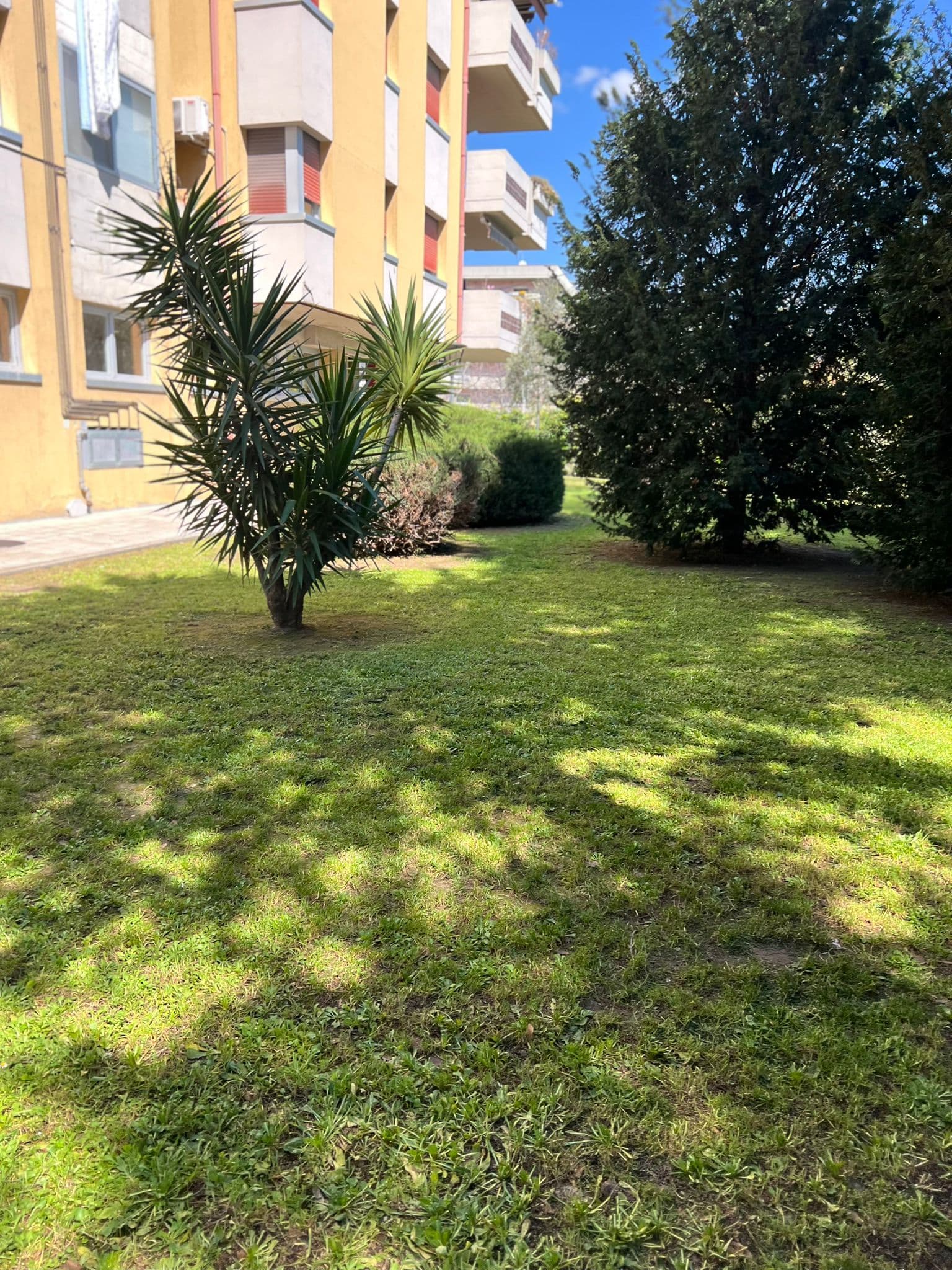 Lavoro professionale di giardinaggio 5