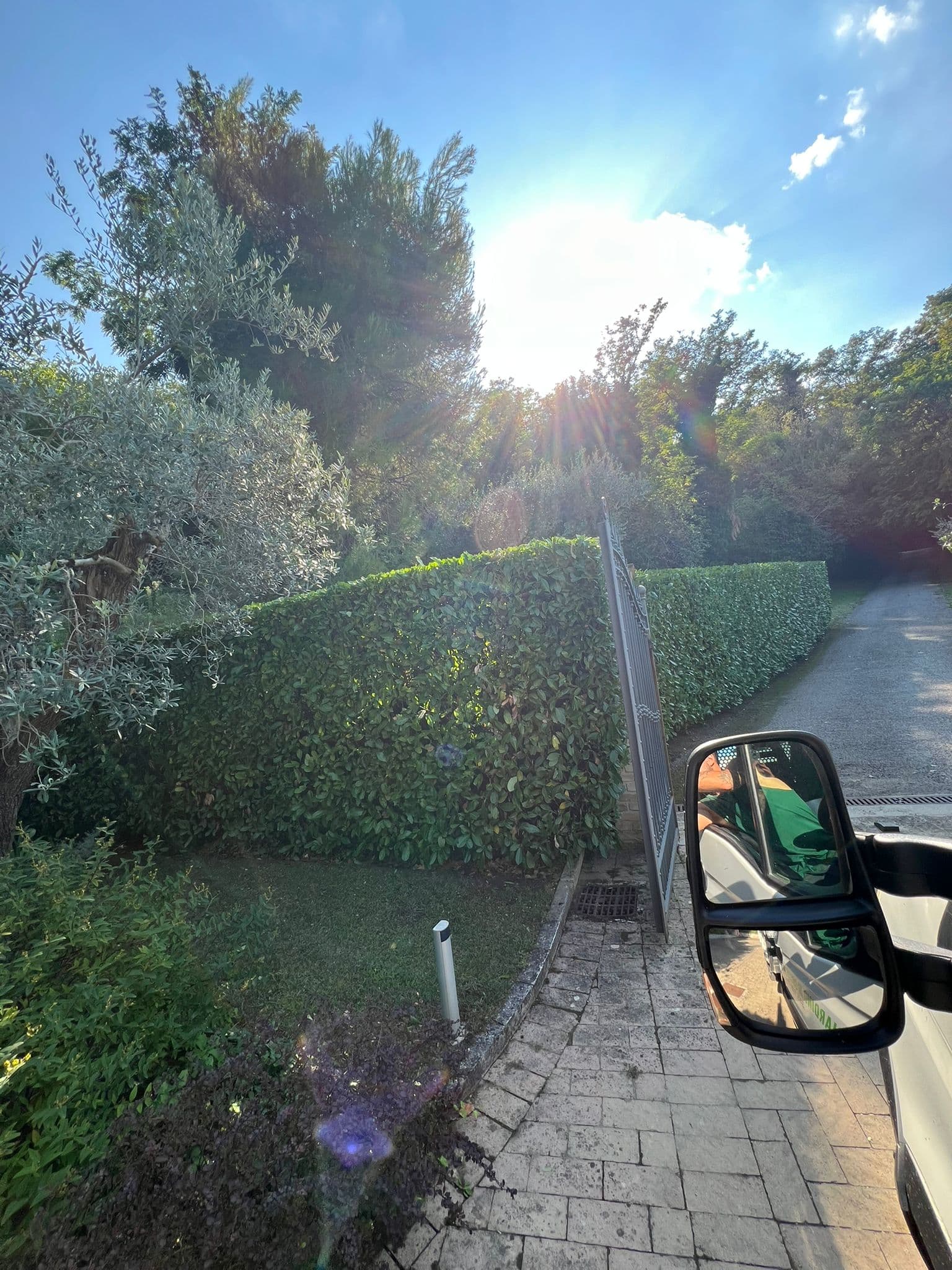 Lavoro professionale di giardinaggio 6